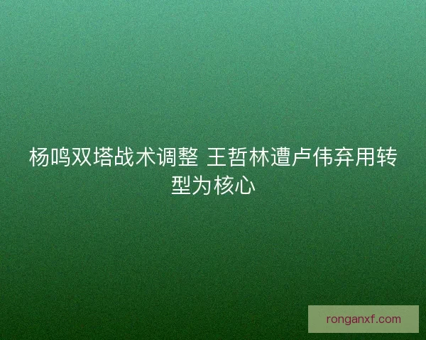 杨鸣双塔战术调整 王哲林遭卢伟弃用转型为核心